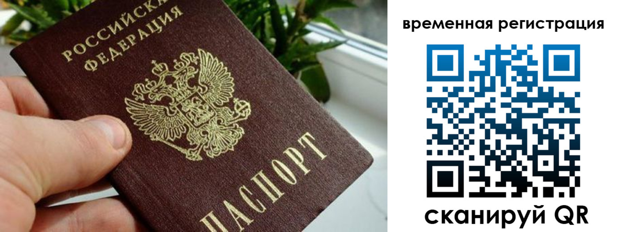 прописка поиск в Новошахтинске